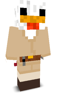 User's Minecraft appearance