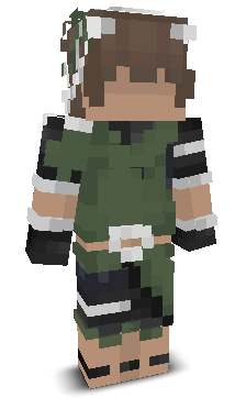 User's Minecraft appearance