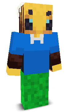 User's Minecraft appearance