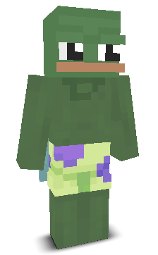 User's Minecraft appearance