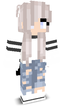 User's Minecraft appearance