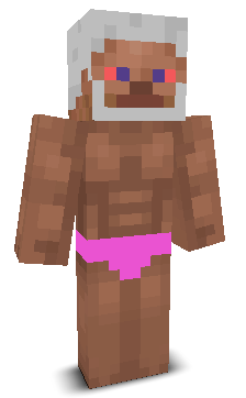 User's Minecraft appearance