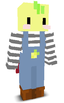 User's Minecraft appearance