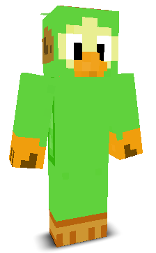 User's Minecraft appearance