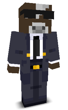 User's Minecraft appearance