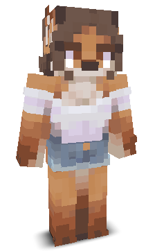 User's Minecraft appearance