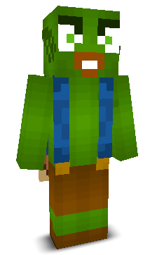 User's Minecraft appearance