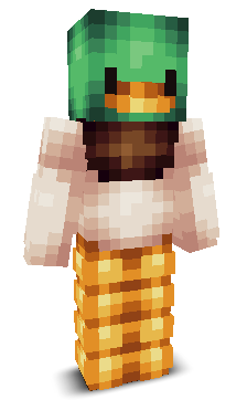 User's Minecraft appearance