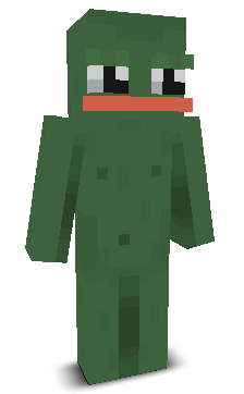 User's Minecraft appearance