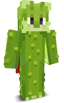User's Minecraft appearance