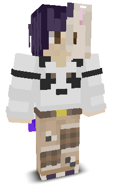 User's Minecraft appearance