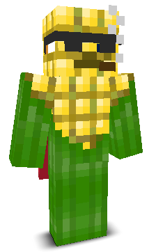 User's Minecraft appearance
