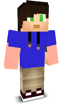 User's Minecraft appearance