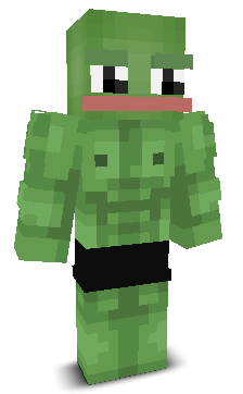 User's Minecraft appearance