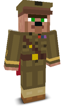 User's Minecraft appearance