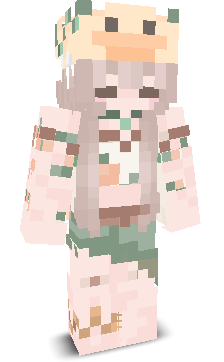 User's Minecraft appearance