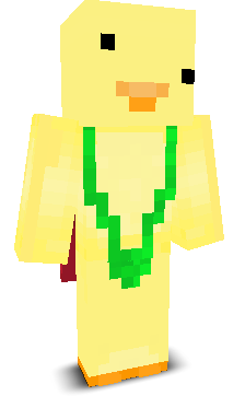 User's Minecraft appearance
