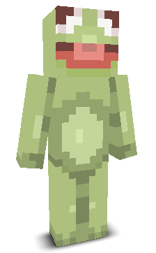 User's Minecraft appearance
