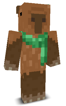User's Minecraft appearance