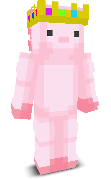 User's Minecraft appearance