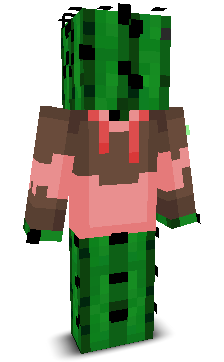 User's Minecraft appearance