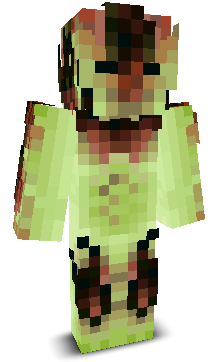 User's Minecraft appearance