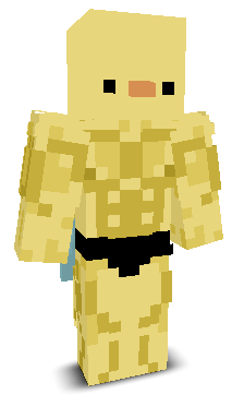 User's Minecraft appearance