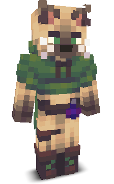 User's Minecraft appearance