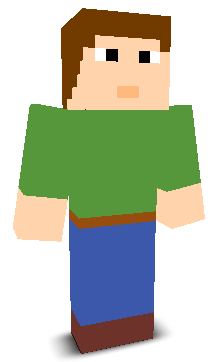 User's Minecraft appearance