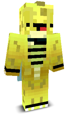 User's Minecraft appearance