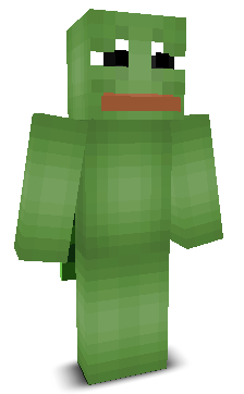 User's Minecraft appearance