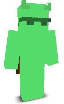 User's Minecraft appearance