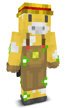 User's Minecraft appearance