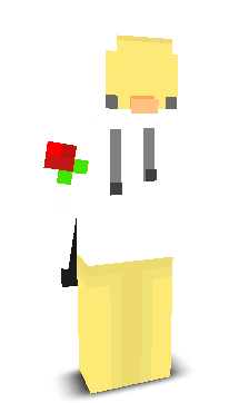 User's Minecraft appearance