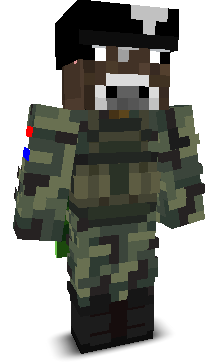 User's Minecraft appearance