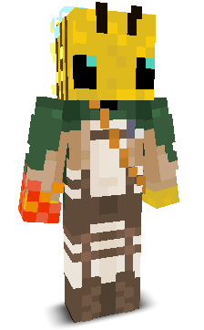 User's Minecraft appearance