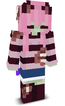 User's Minecraft appearance