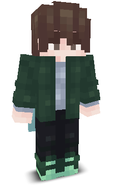 User's Minecraft appearance