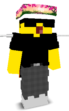 User's Minecraft appearance