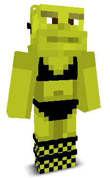 User's Minecraft appearance