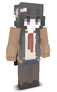 User's Minecraft appearance