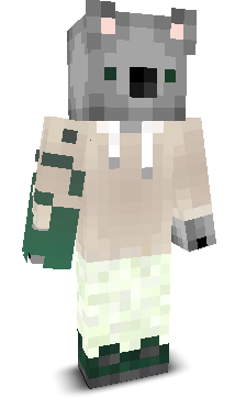 User's Minecraft appearance