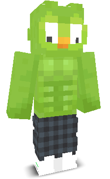User's Minecraft appearance