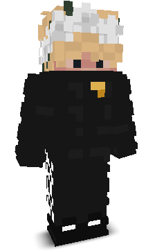 Skin gracza XMrSkyX