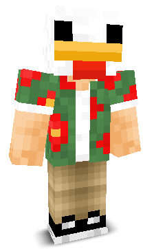 User's Minecraft appearance