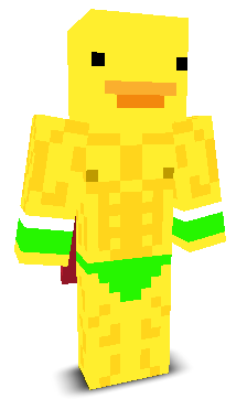 User's Minecraft appearance