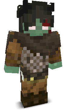 User's Minecraft appearance