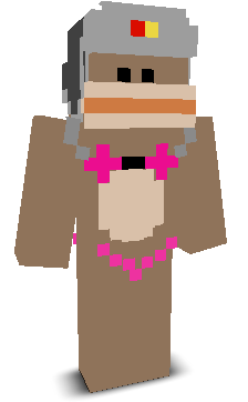 User's Minecraft appearance
