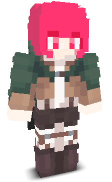 User's Minecraft appearance
