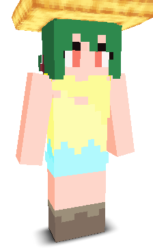 User's Minecraft appearance